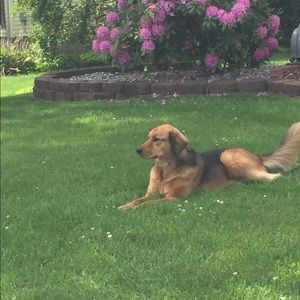 Meet your Posher, Christine